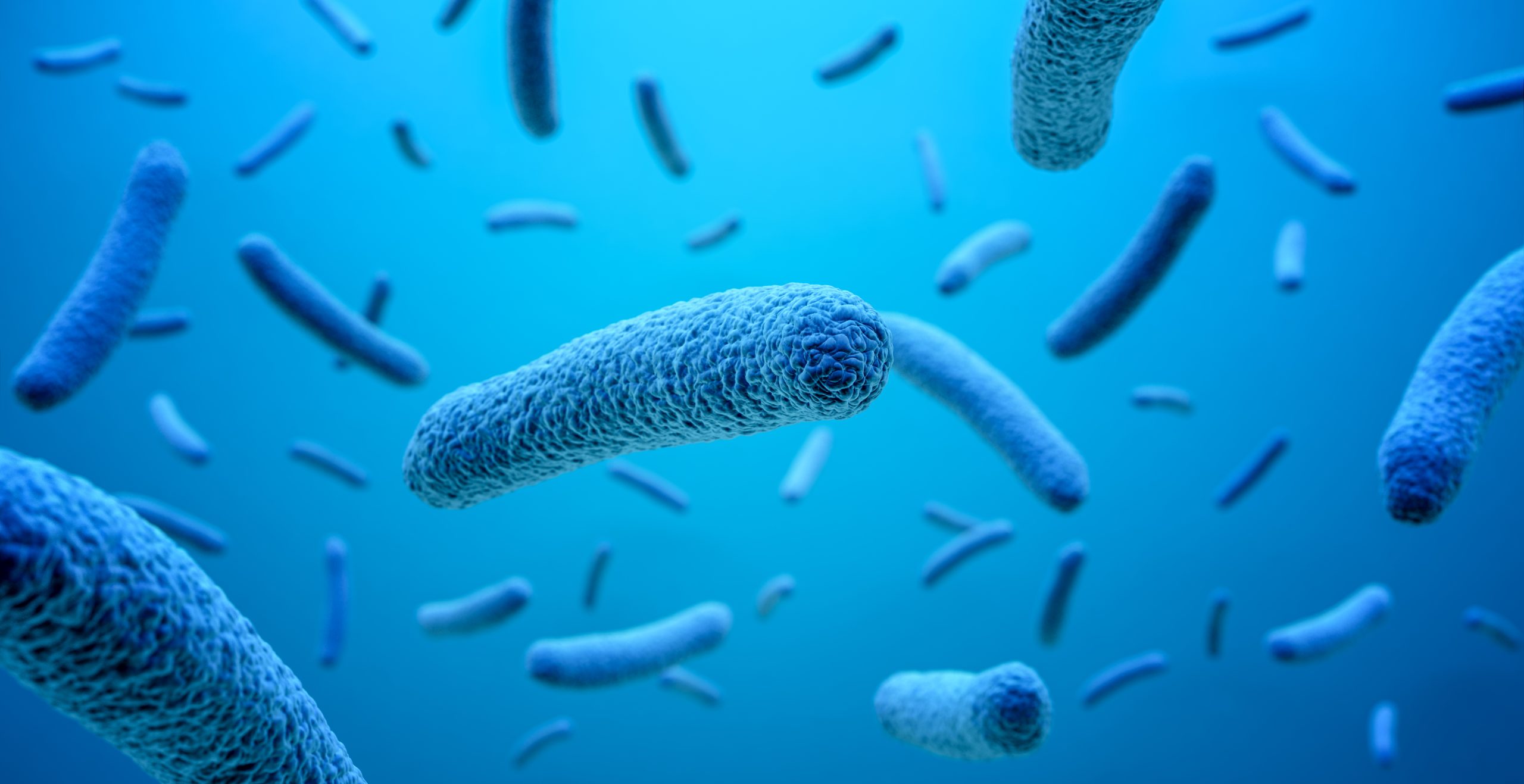 close-up of microscopic blue bacteria, 3d illustration